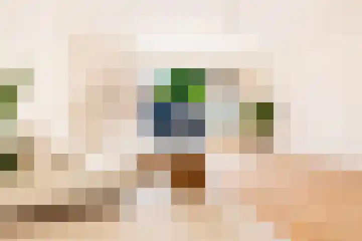 Zeedistel 33 De Meern thumbnail 5