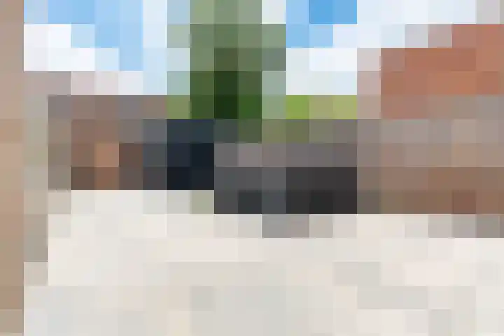 Zeedistel 33 De Meern thumbnail 6
