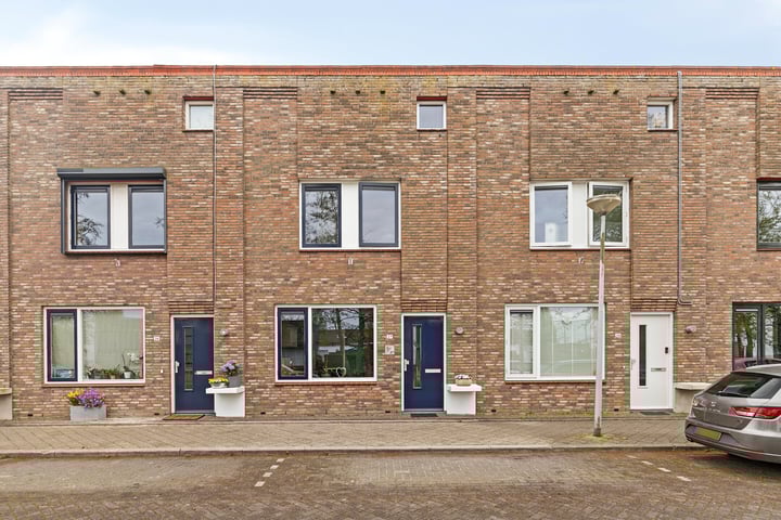 Zeedistel 37 in De Meern foto