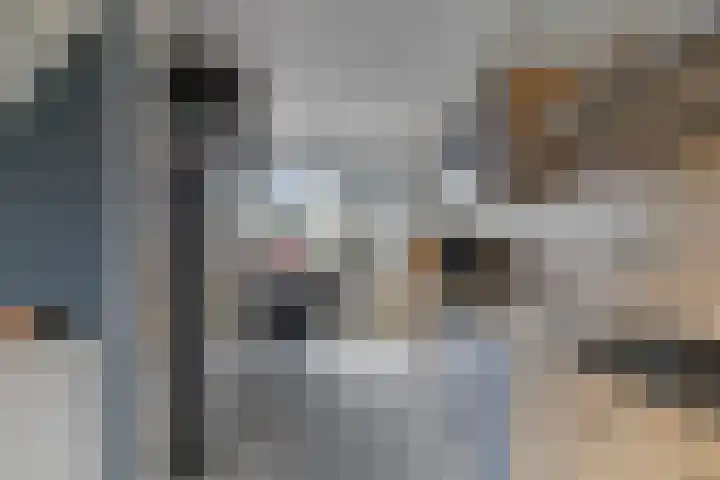 Zeedistel 37 De Meern thumbnail 15