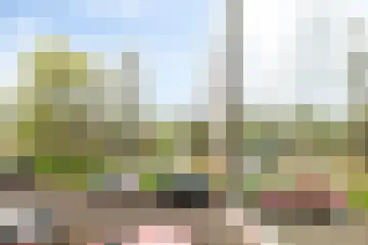 Zeedistel 37 De Meern thumbnail 22