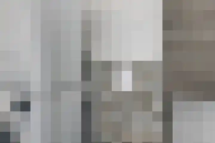 Zeedistel 37 De Meern thumbnail 23