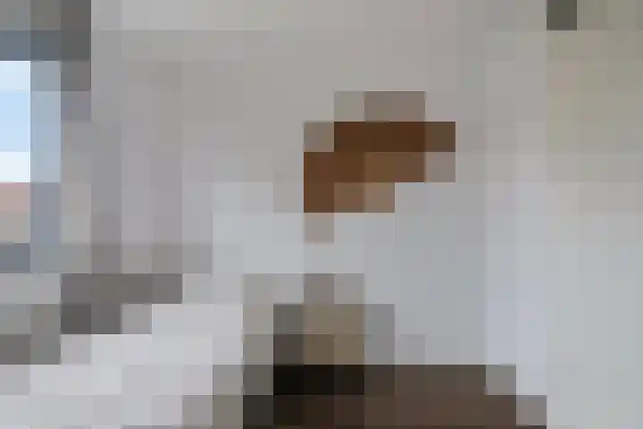 Zeedistel 37 De Meern thumbnail 26