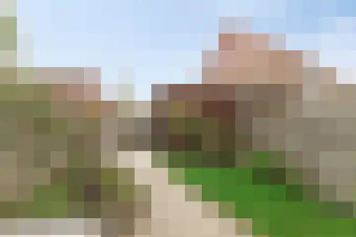 Zeedistel 37 De Meern thumbnail 28