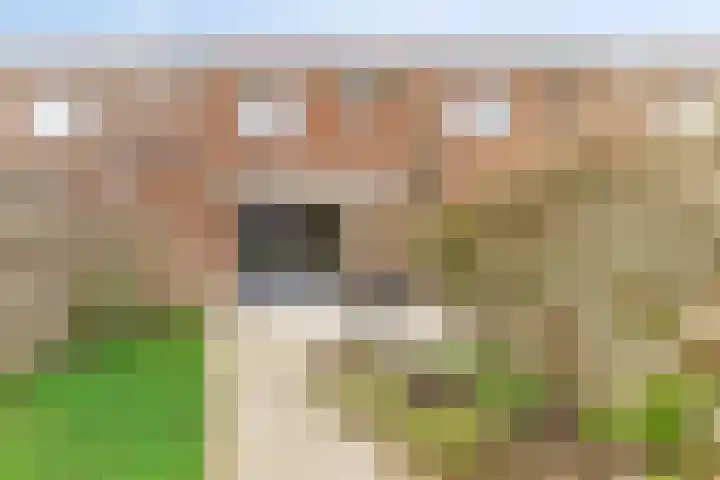 Zeedistel 37 De Meern thumbnail 29