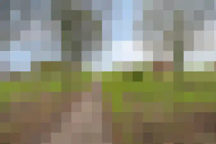 Zeedistel 37 De Meern thumbnail 31