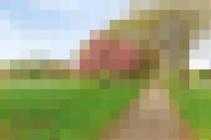 Zeedistel 37 De Meern thumbnail 32
