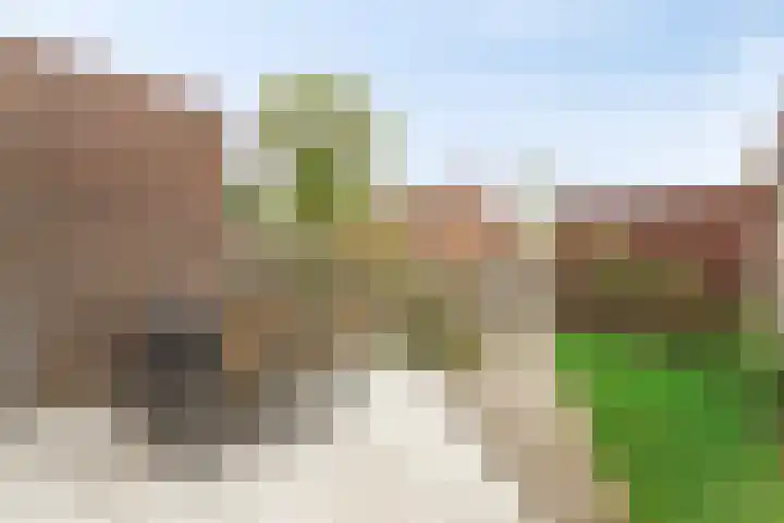 Zeedistel 37 De Meern thumbnail 4