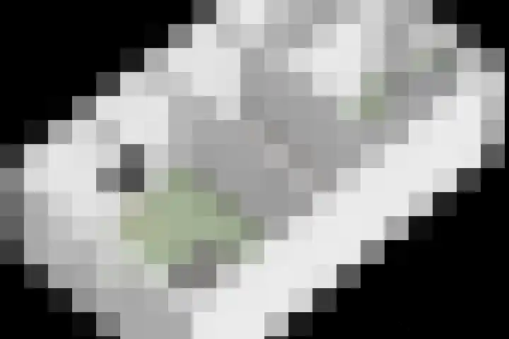 Zeedistel 37 De Meern thumbnail 40