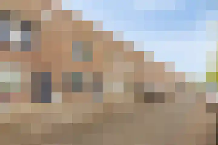 Zeedistel 37 De Meern thumbnail 6