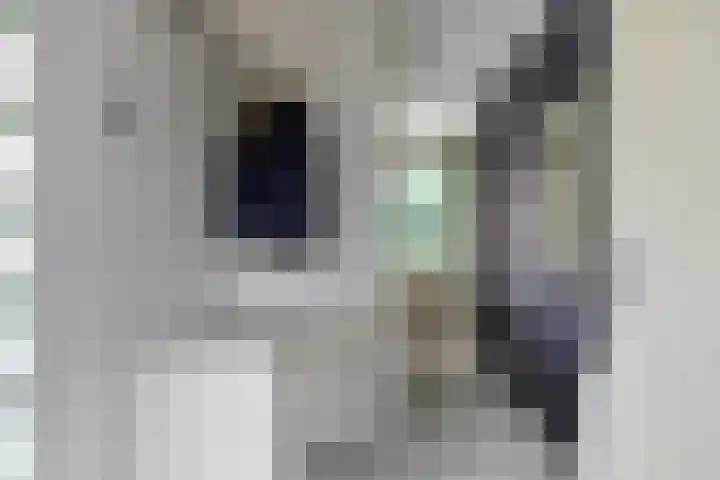 Zeedistel 37 De Meern thumbnail 9