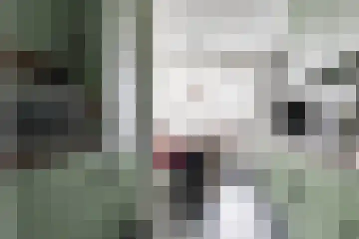 Zeedistel 68 De Meern thumbnail 13