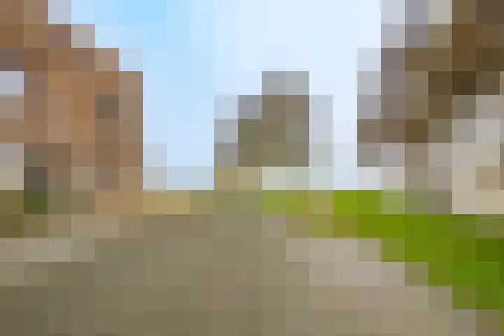 Zeedistel 68 De Meern thumbnail 30