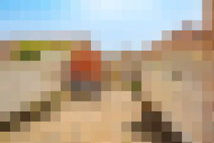 Zeedistel 68 De Meern thumbnail 31