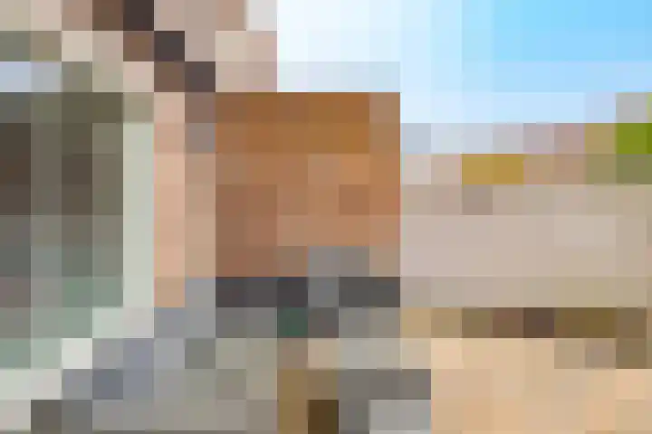 Zeedistel 68 De Meern thumbnail 32