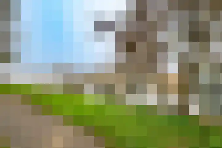 Zeedistel 68 De Meern thumbnail 35