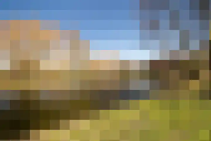 Zeedistel 68 De Meern thumbnail 36