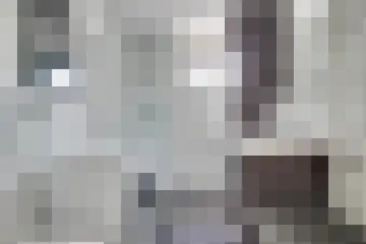 Zeedistel 68 De Meern thumbnail 4
