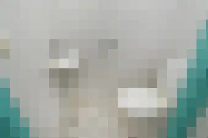 Zeedistel 8 Nootdorp thumbnail 15