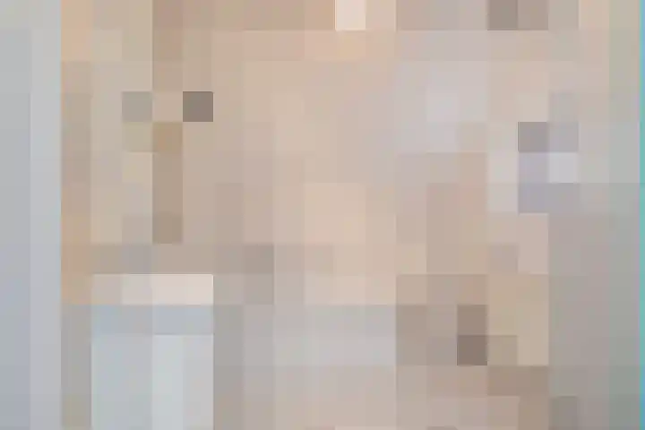 Zeedistel 8 Nootdorp thumbnail 26