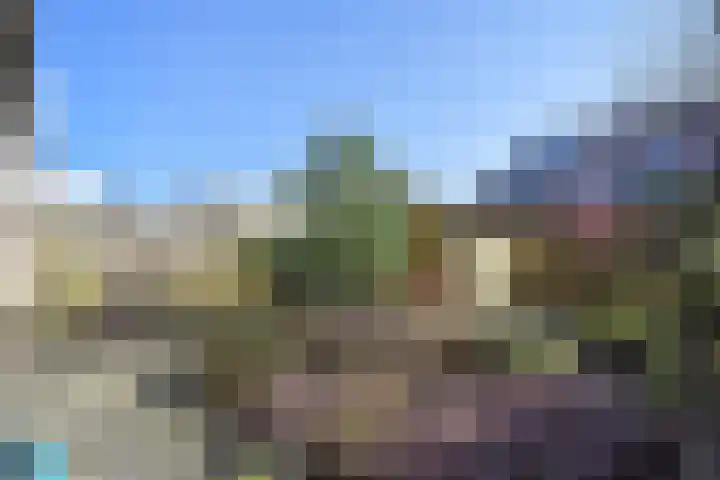 Zeedistel 8 Nootdorp thumbnail 36