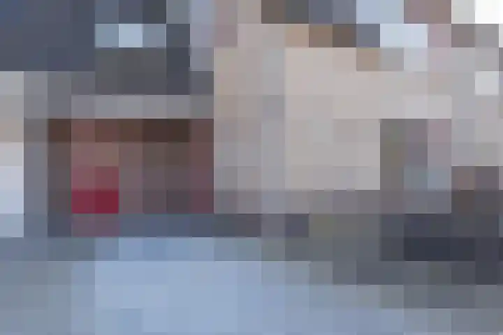 Zeedistel 8 Nootdorp thumbnail 40