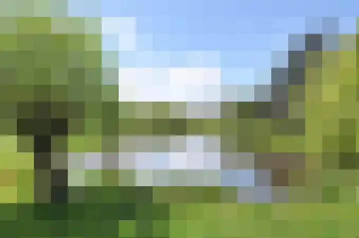 Zeedistel 8 Nootdorp thumbnail 45