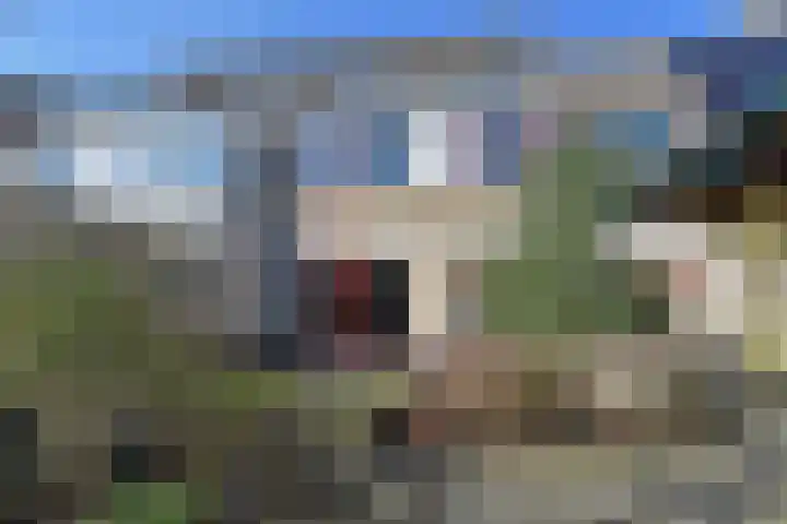 Zeedistel 8 Nootdorp thumbnail 6