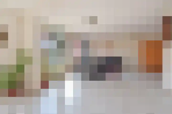 Zeedistel 8 Nootdorp thumbnail 7