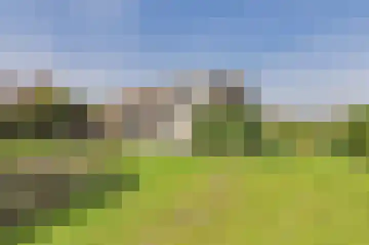 Zeedorp 7 Ossenisse