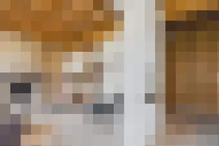 Zeedorp 7 Ossenisse thumbnail 12