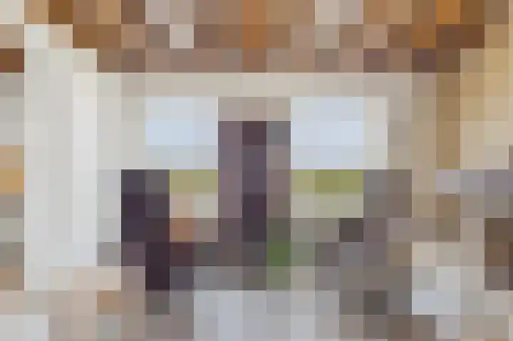 Zeedorp 7 Ossenisse thumbnail 14