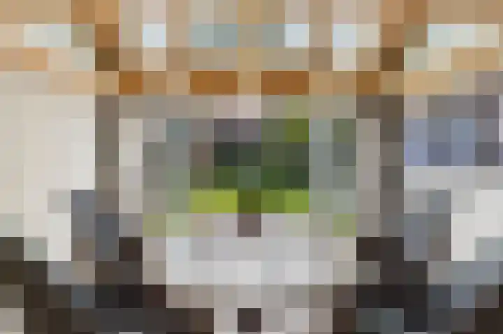 Zeedorp 7 Ossenisse thumbnail 18