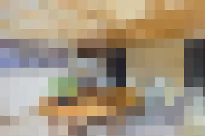 Zeedorp 7 Ossenisse thumbnail 20