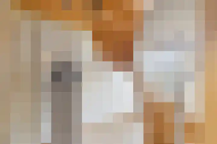 Zeedorp 7 Ossenisse thumbnail 21