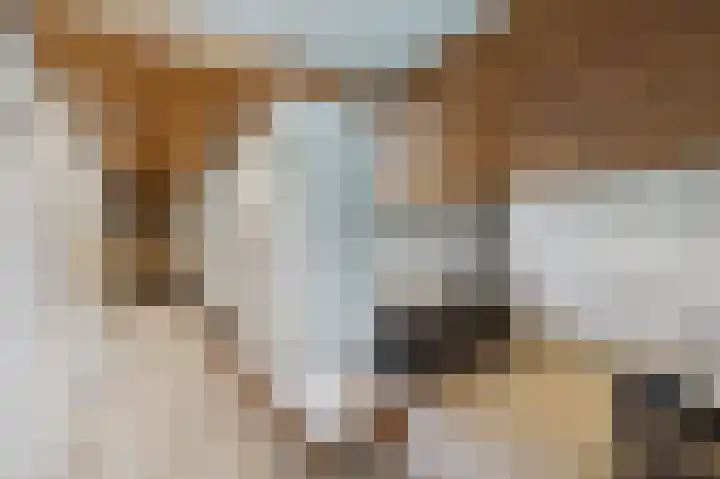 Zeedorp 7 Ossenisse thumbnail 24