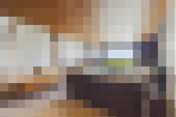 Zeedorp 7 Ossenisse thumbnail 26