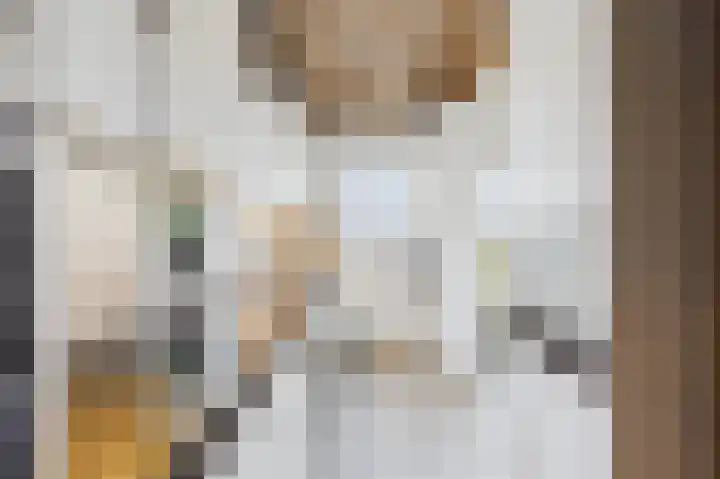 Zeedorp 7 Ossenisse thumbnail 8
