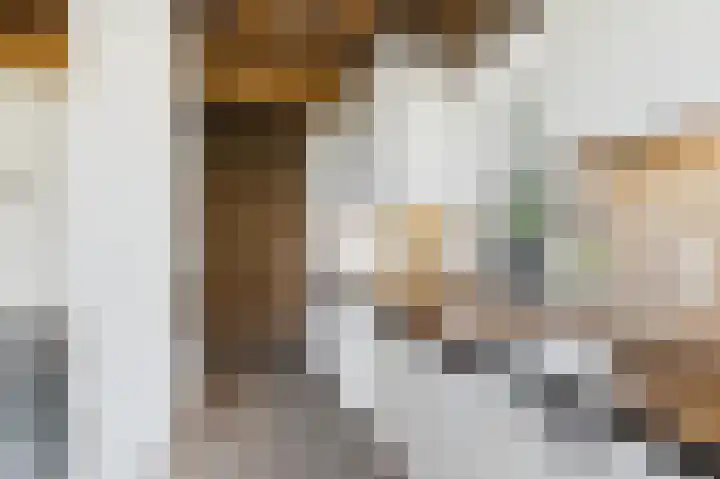 Zeedorp 7 Ossenisse thumbnail 9