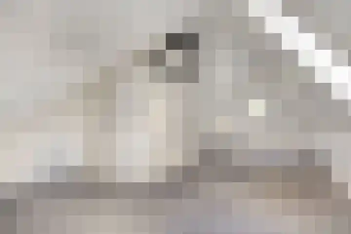 Zeeduinweg 626 Almere thumbnail 10