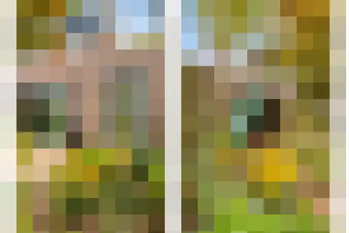 Zeeduinweg 626 Almere thumbnail 13