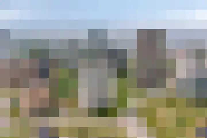 Zeeduinweg 98 Almere thumbnail 32
