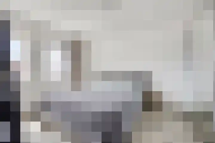 Zeefdruk 27 Meppel thumbnail 12