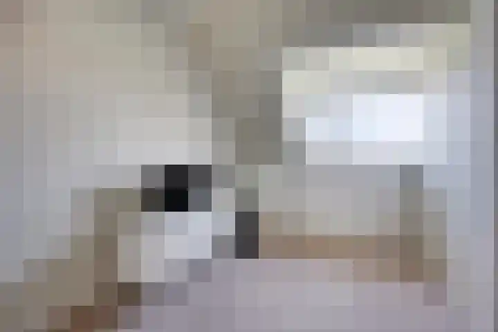 Zeefdruk 27 Meppel thumbnail 23