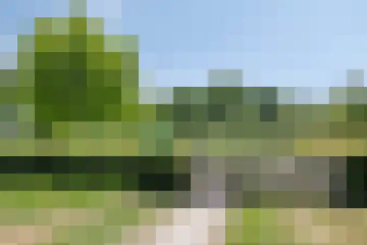 Zeefdruk 27 Meppel thumbnail 33