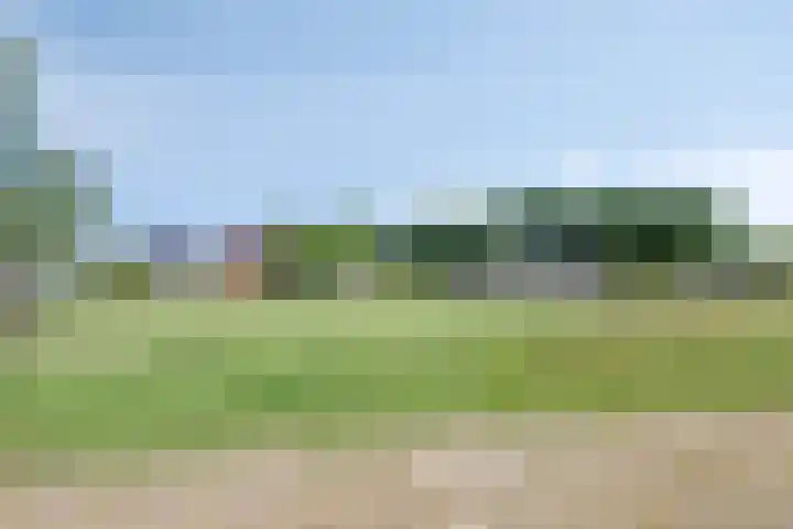 Zeefdruk 27 Meppel thumbnail 34