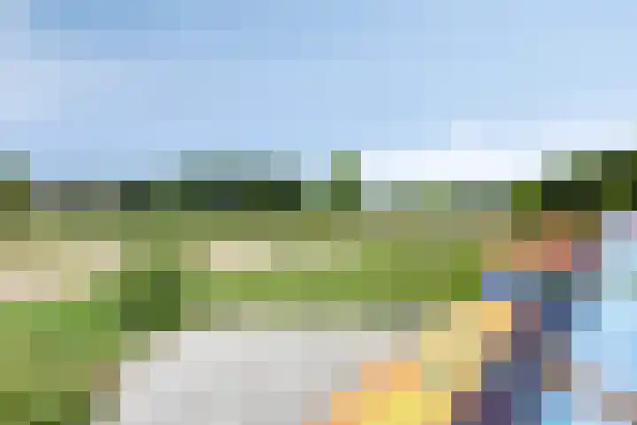 Zeefdruk 27 Meppel thumbnail 35