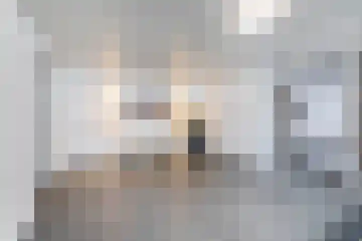 Zeegat 76 Hellevoetsluis thumbnail 10