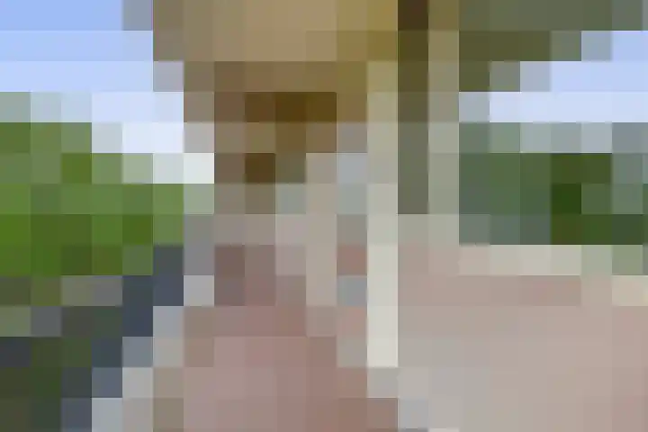 Zeegat 76 Hellevoetsluis thumbnail 17