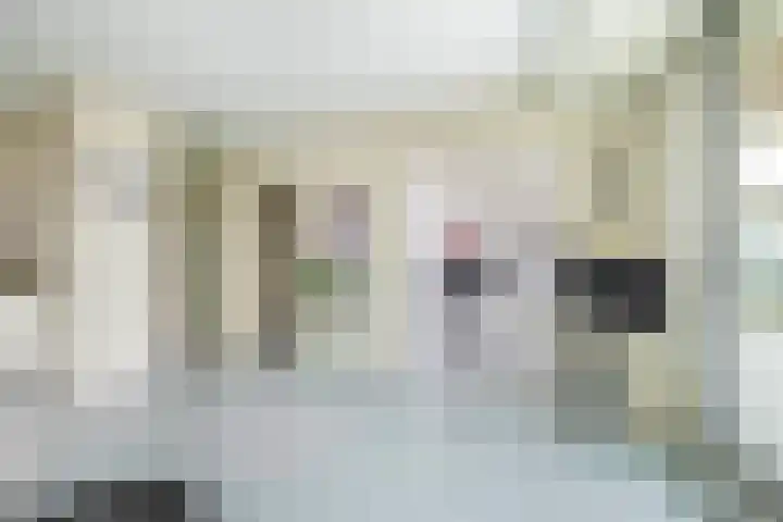 Zeegat 76 Hellevoetsluis thumbnail 26